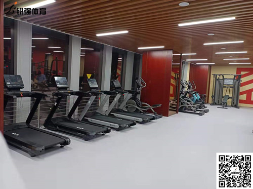 VSPORTS体育官网體育完成的濟(jì)南某部門(mén)單位健身房
